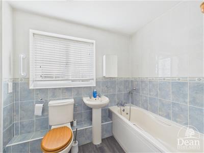 Picture 8